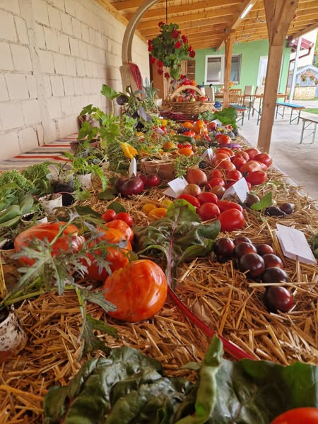 Festival RAJice 30.8.2025. Centar IGOR