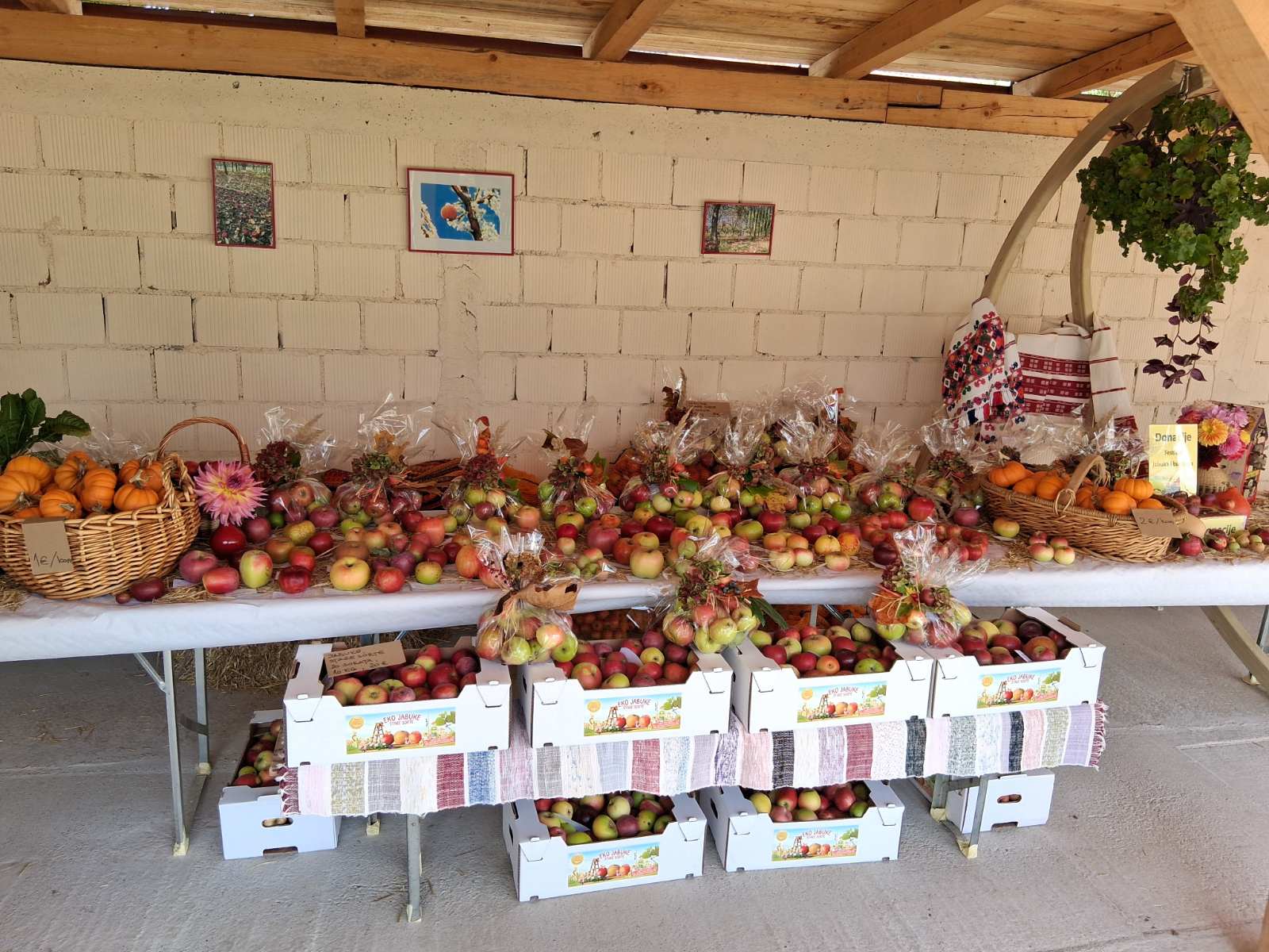 Festival jabuka i bundeva Centar IGOR 11.10.2025.3